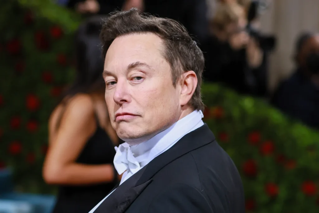 Tech Billionaire and Tesla CEO Elon Musk. Photo: Getty Images